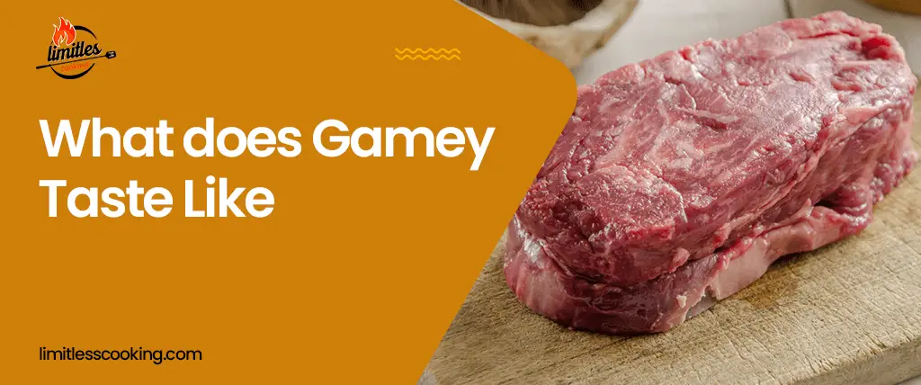 What Does Gamey Taste Like? How To Get Rid of Gamey Taste?