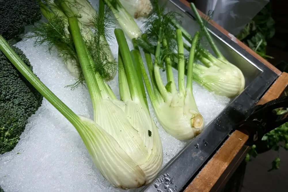 fennel kept with ice