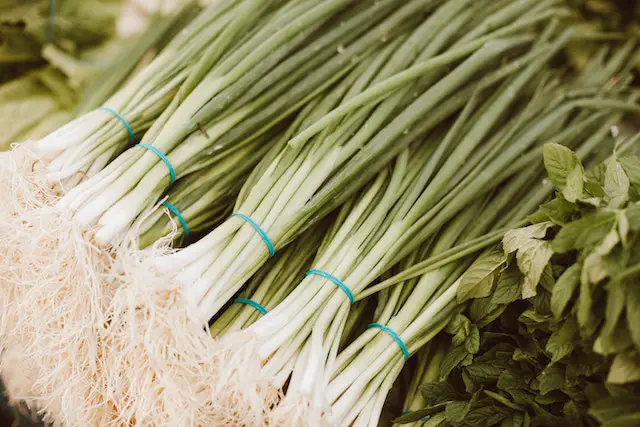 scallions are grouped together in the market