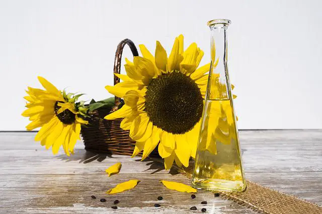 sunflower-oil and sunflower side-by-side